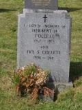 image of grave number 909019